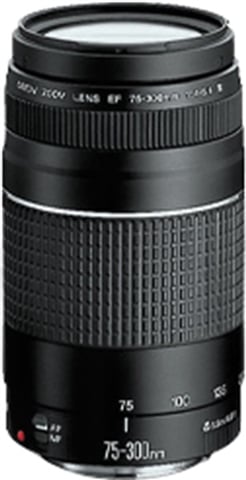 Canon EF 75-300mm f/4-5.6 III Black Lens