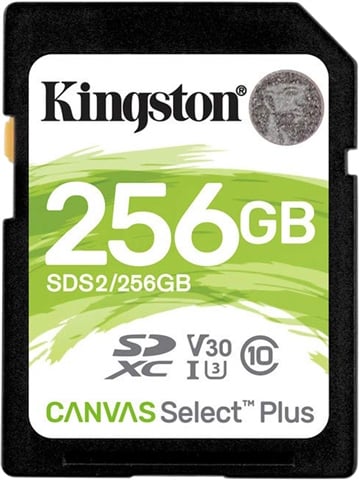 Kingston 256GB microSDXC Card UHS-I U1